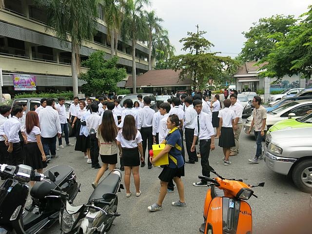 IMG 7548
