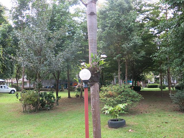IMG 0070