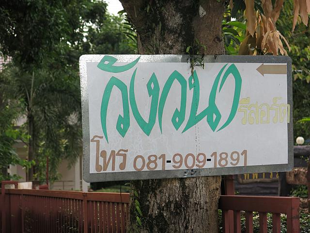 IMG 0073