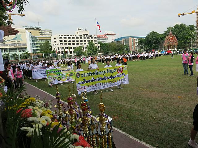 IMG 7274