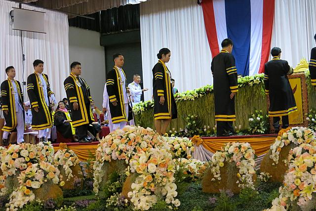 resize IMG 1285