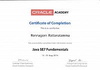 ronnagorn Java Oracle