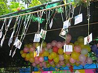 IMG 7471
