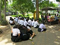 IMG 7491