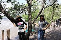 IMG 7334