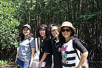 IMG 7338