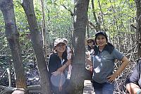 IMG 7362