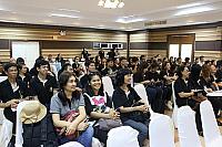 IMG 7376