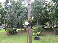 IMG 0070