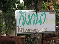 IMG 0073