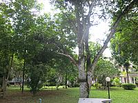 IMG 0076