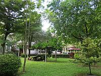 IMG 0077