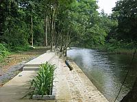 IMG 0084
