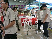 IMG 0212