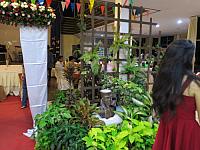 resize IMG 7845