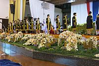 resize IMG 1242