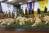 resize IMG 1254