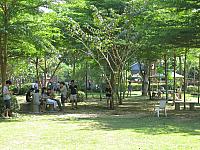 แก้ไขภาพ IMG 6054