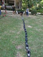 แก้ไขภาพ IMG 6106