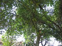 แก้ไขภาพ IMG 6120