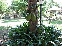 แก้ไขภาพ IMG 6127