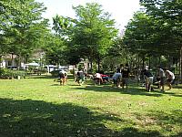 แก้ไขภาพ IMG 6145