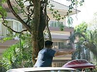 แก้ไขภาพ IMG 6184