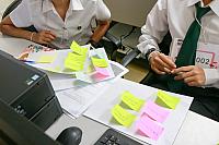 IMG 6652